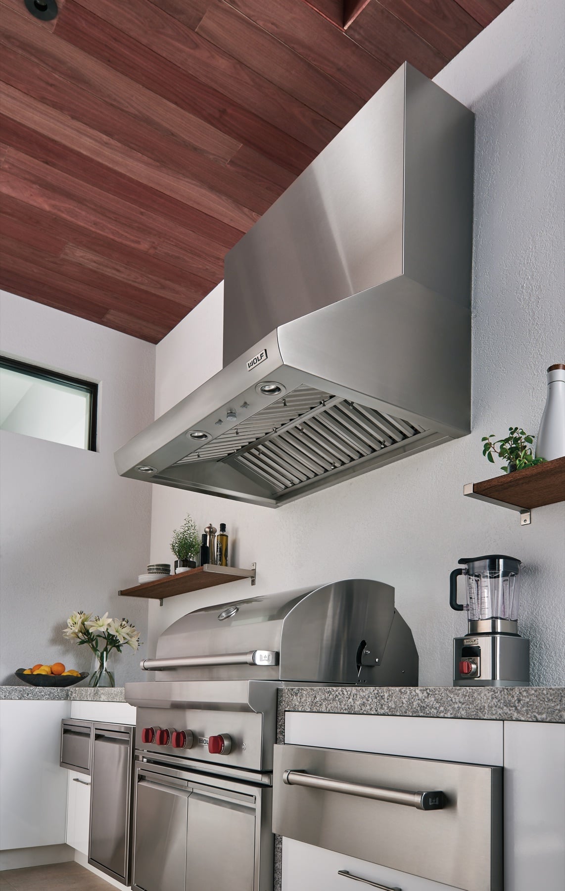 Wolf Pro Wall Hood ventilación profesional sobre rango 48 pulgadas